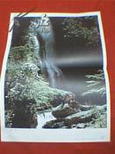摄影家池仙照摄的《瀑布》（此为四开画，宽38厘米，高52厘米；表现的是少年儿童参观瀑布的情景；印刷品；原为教学挂图）