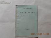 A54307 苏联彩色普通银幕故事片《沙漠白日》