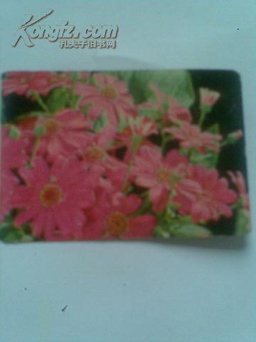 年历卡片;红花朵朵[1976]