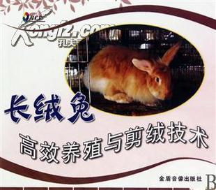 2010新版VCD长绒兔高效养殖与剪绒技术