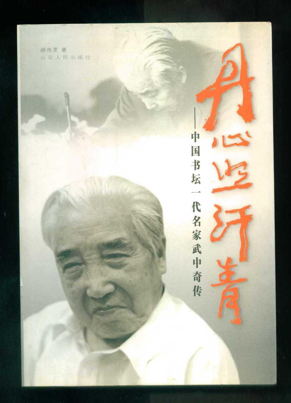 丹心照汗青：中国书坛一代名家武中奇传