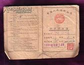 1951年中国人民保险公司牲畜保险证