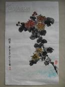 古月 绘 秋菊图 尺寸44×68cm