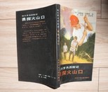 哈尔罗杰历险记-勇探火山口【92年印刷】--B1B