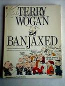 TERRY WOGAN BANJAXED【泰莉·banjaxed】