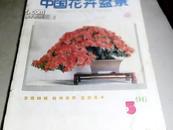 中国花卉盆景   1996----{1---12全}