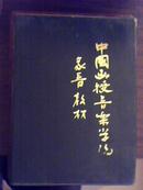 中国音乐函授学院录音教材 磁带 一册六合，屠冶九·赵方幸·樊祖荫 主讲