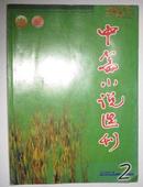 中篇小说选刊2004年第2期