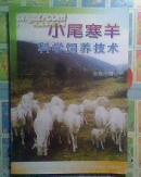 小尾寒羊科学饲养技术