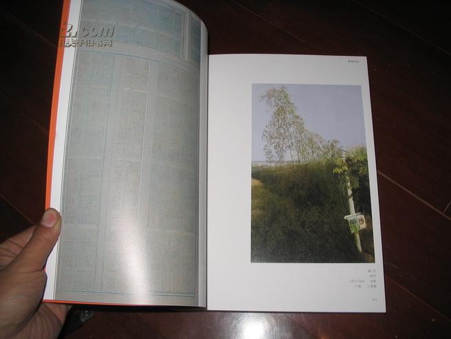 炫2011 上海青年美术大展作品集（16开全彩铜版纸精印）原价380元.