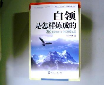 白领是怎样炼成的—360度全方位打造你的高薪生涯