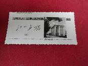 老照片--有毛录--5cmX10cm（北京师范大学老照片）