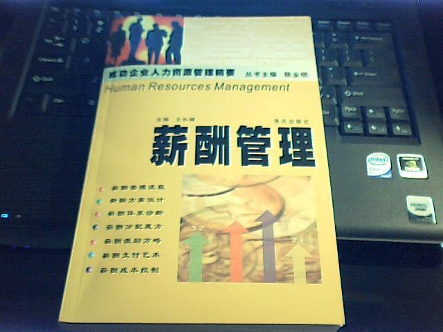 成功企业人力资源管理精要系列丛书：薪酬管理