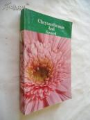 The Chrysanthemum and Sword【菊与刀，本尼迪克特，英文】