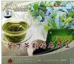 苦丁茶栽培与加工技术