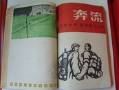 《奔流》1964年7-12期合订本，含珍贵的改刊夹页，精美中国画、版画、剪纸等，传承有序