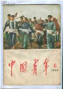 中国青年1965.6