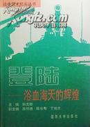 登陆：浴血海天的辉煌 (战争艺术纪实丛书 精装）