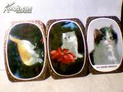 1979年年历片3张 小猫  柜