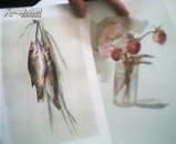 静物水彩写生散页 16开1-8无封套 8张 50-60年代