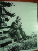 毛泽东在庐山 1961年 50X40厘米（照片印刷品）