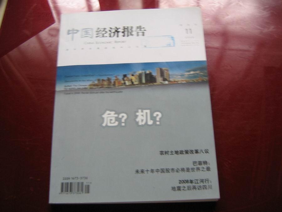 中国经济报告 2008年第11期【专题：危？机？】