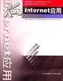 正版新书 Internet 应用 全国专业技术人员计算机应用能力考试