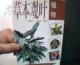 室内名贵花卉丛书：草本观叶植物.[彩图版].2000年1版1印7000册