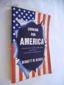 Looking for America：Essays on Youth,Suburbia,and other American Obsessions