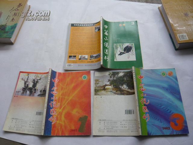 中篇小说选刊（2008年第3.期）现存1期（非馆藏无涂画9品】