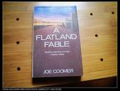 A Flatland Fable by Joe Coomer (馆藏)