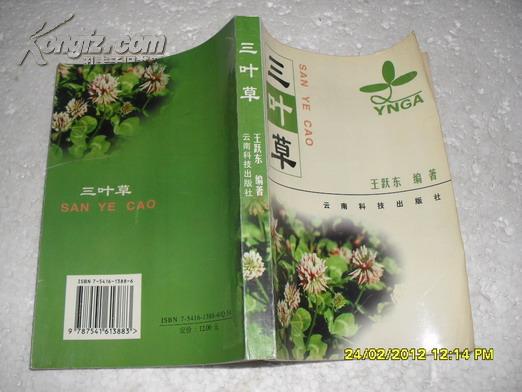 三叶草（8品封面有折痕王跃东签名本2000年1版1印2000册343页小32开）21569