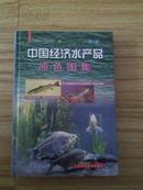 大32开精装：中国经济水产品原色图集【92年1版1印，铜版彩印图文本】