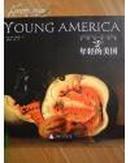 美国艺术书系—年轻的美国