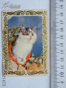 年历片106     1988   上海人民美术出版社《猫》 凹凸版