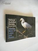 （National Audubon Society Pocket Guide）Familiar Birds of Lakes and Rivers【熟悉的河湖鸟类，英文原版，彩色图文本】