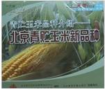 玉米种植 北京青贮玉米新品种 3视频2书籍 青贮玉米标准化生产技术手册