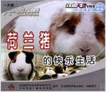 荷兰猪的快乐生活（荷兰猪养殖技术视频）书 黑豚高效养殖技术一本通：饲养管理疾病防治