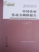 2005中国农村劳动力调研报告