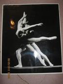 照片   芭蕾舞黑白大照片3张，规格高21   宽26