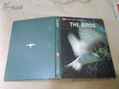 A63887《THE BIRDS》翻译：鸟