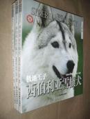 世界名犬驯养宝典 极地王子 西伯利亚雪橇犬 纪征 正版彩印未阅x69