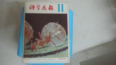 科学画报 1981年第11期