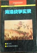 【当代战争实录系列 海湾战争实录】