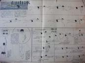 自由泳技术图解之三 动作要领+练习方法