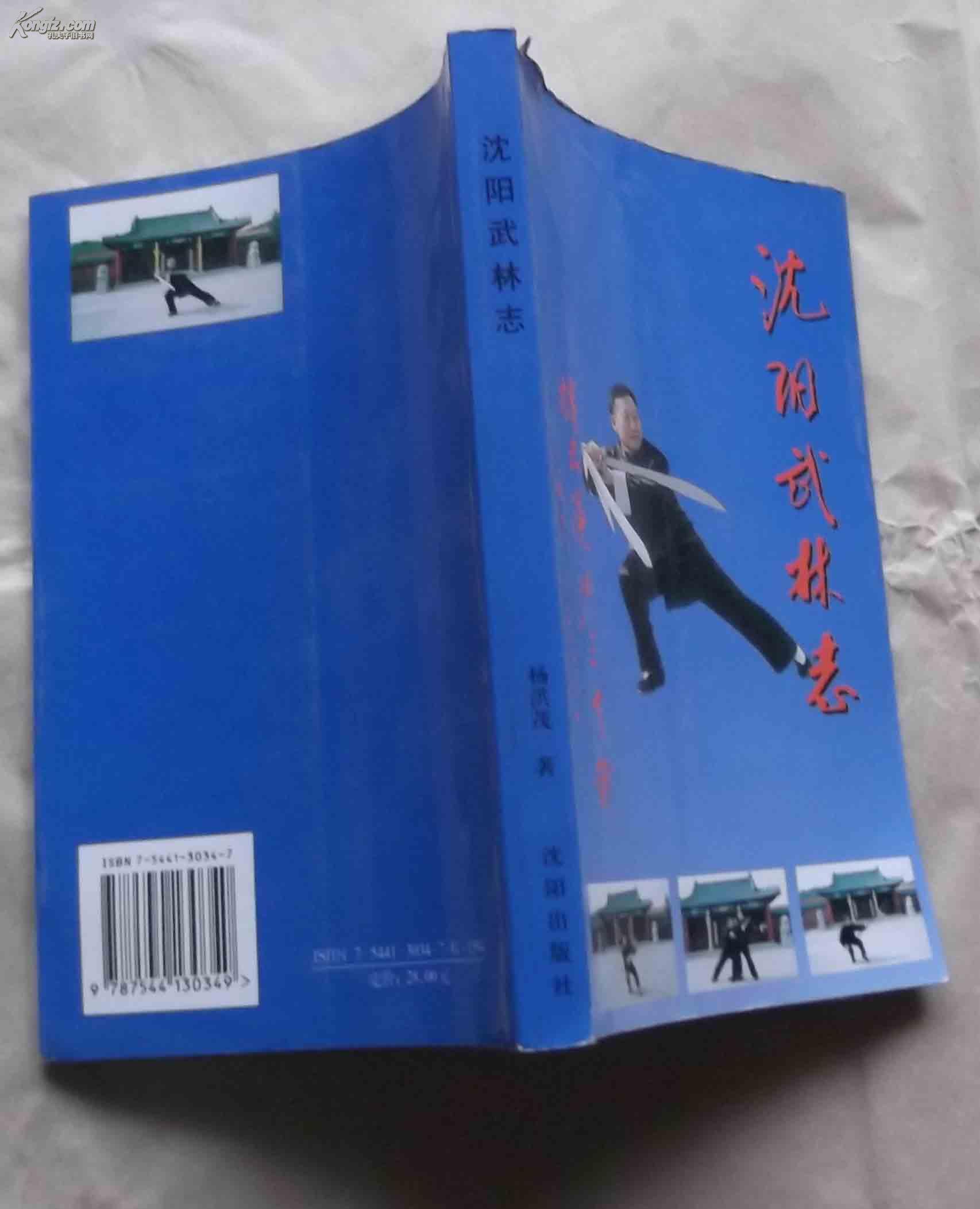 沈阳武林志