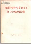 中国共产党第十届中央委员会第三次全体会议公报