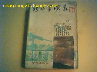 《新四军演义》（下册）