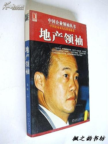 中国企业领袖丛书：地产领袖（路晓主编 2003年1版1印 私藏品佳）