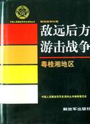 敌远后方 游击战争——粤桂湘地区（精装本）